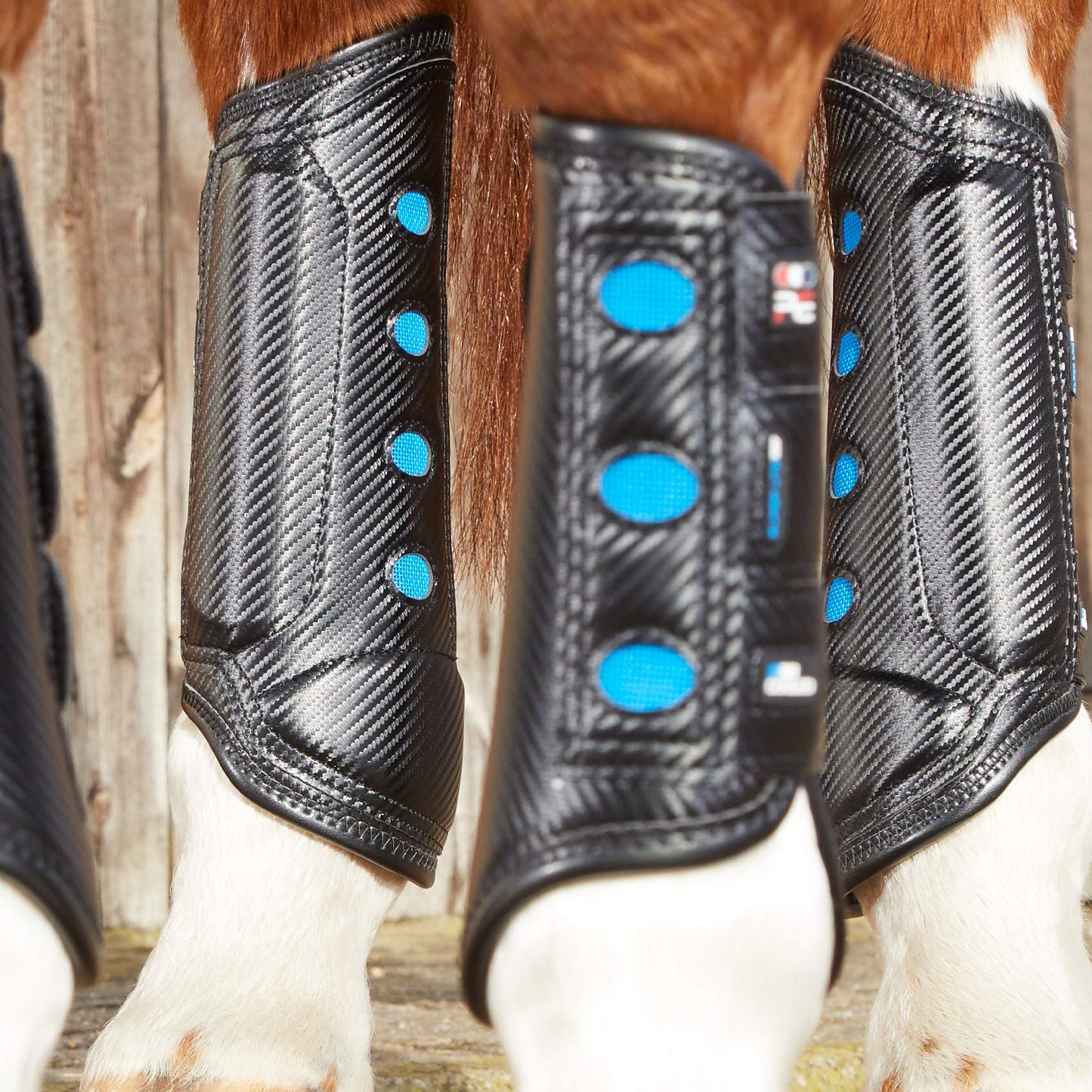 Guêtres Postérieurs Air Cooled Super Lite Carbon Tech Premier Equine – Protection Légère et Ventilée