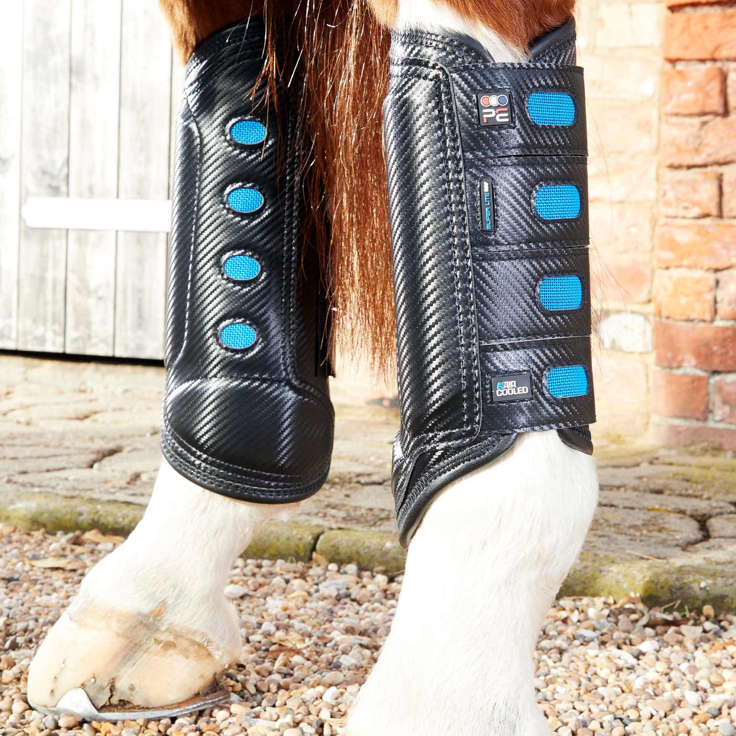 Guêtres Postérieurs Air Cooled Super Lite Carbon Tech Premier Equine – Protection Légère et Ventilée