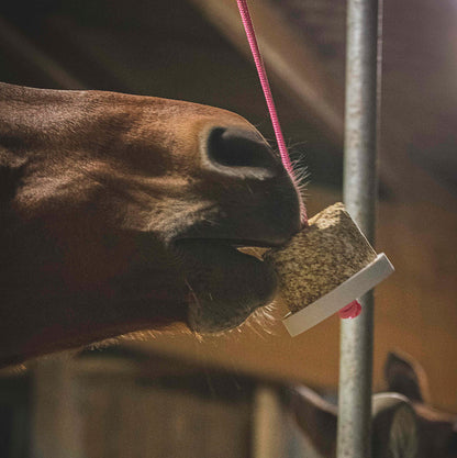 Happy Wild Immun Sans Céréales Baies de Cynorrhodon feuilles de thym Bio - Happy Crackers Jouet Friandise Bio pour Chevaux