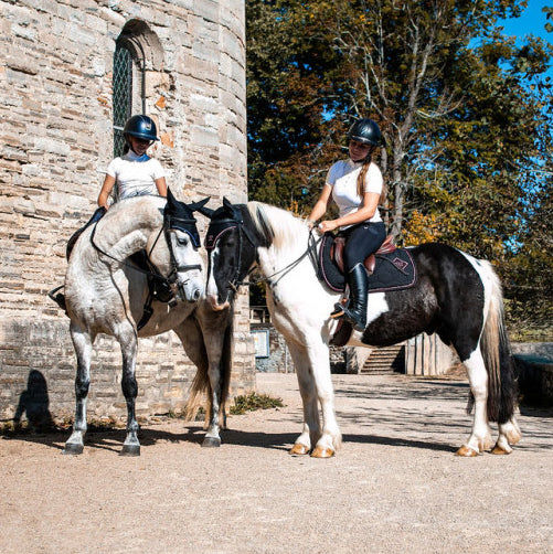 LA COLLECTION ACCENTS TAPIS - Oxxer