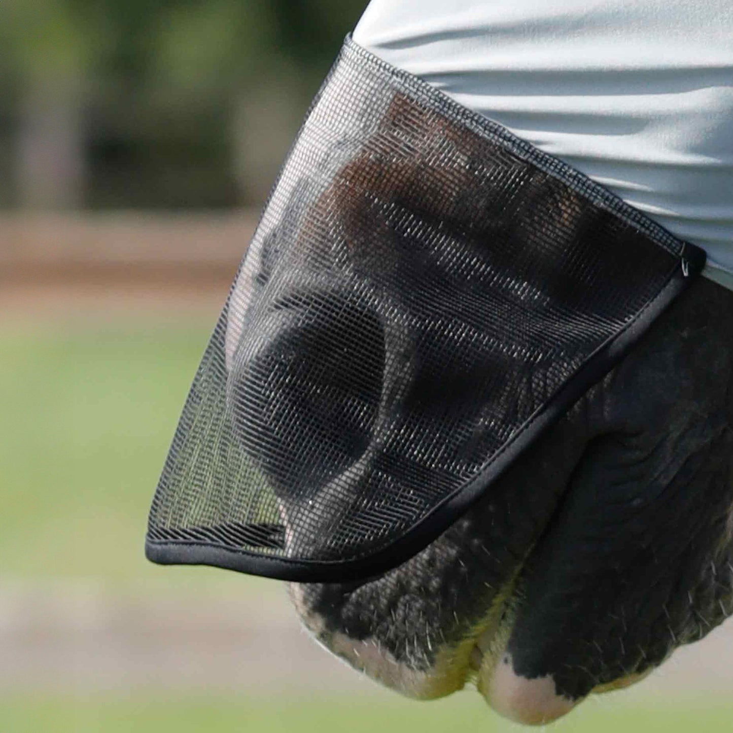 Masque Anti-Mouches Premier Equine Comfort Tech Xtra – Protection Lycra 360° & UV