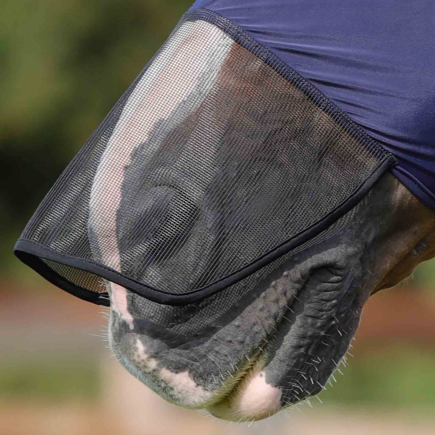 Masque Anti-Mouches Premier Equine Comfort Tech Xtra – Protection Lycra 360° & UV