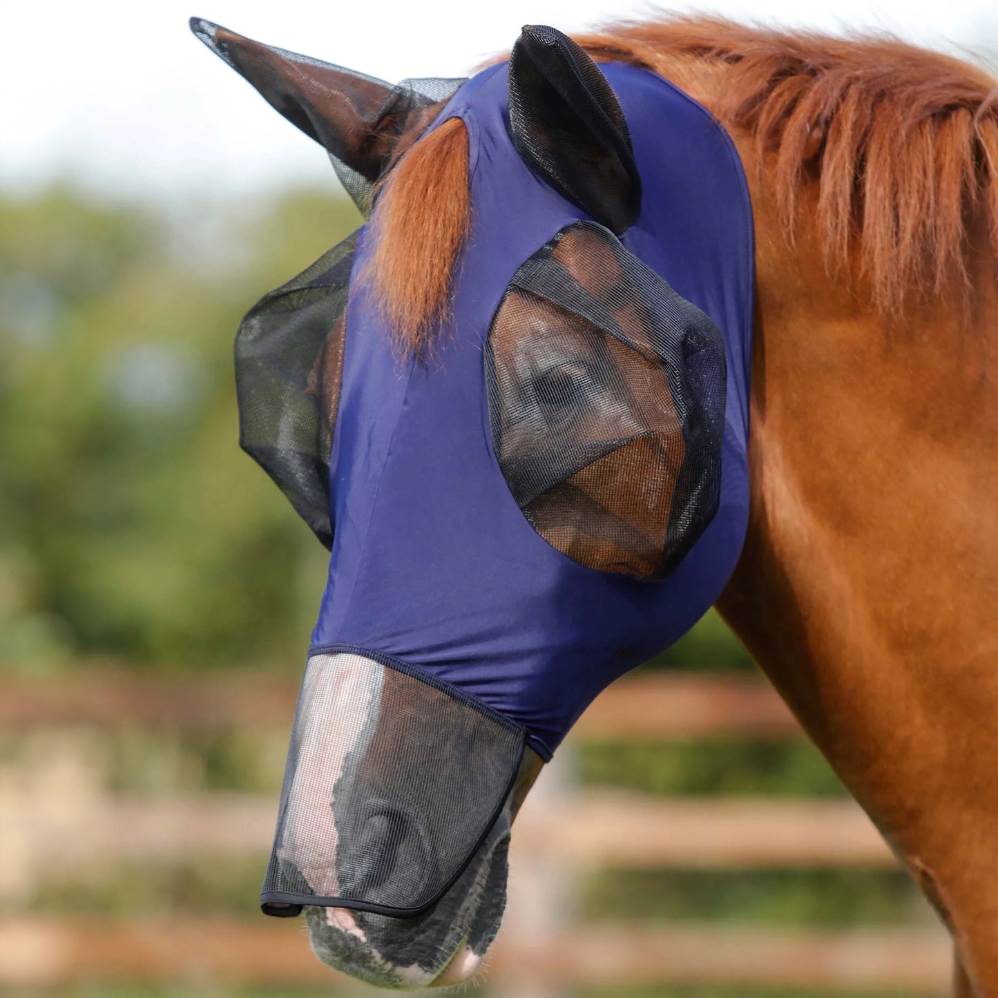 Masque Anti-Mouches Premier Equine Comfort Tech Xtra – Protection Lycra 360° & UV