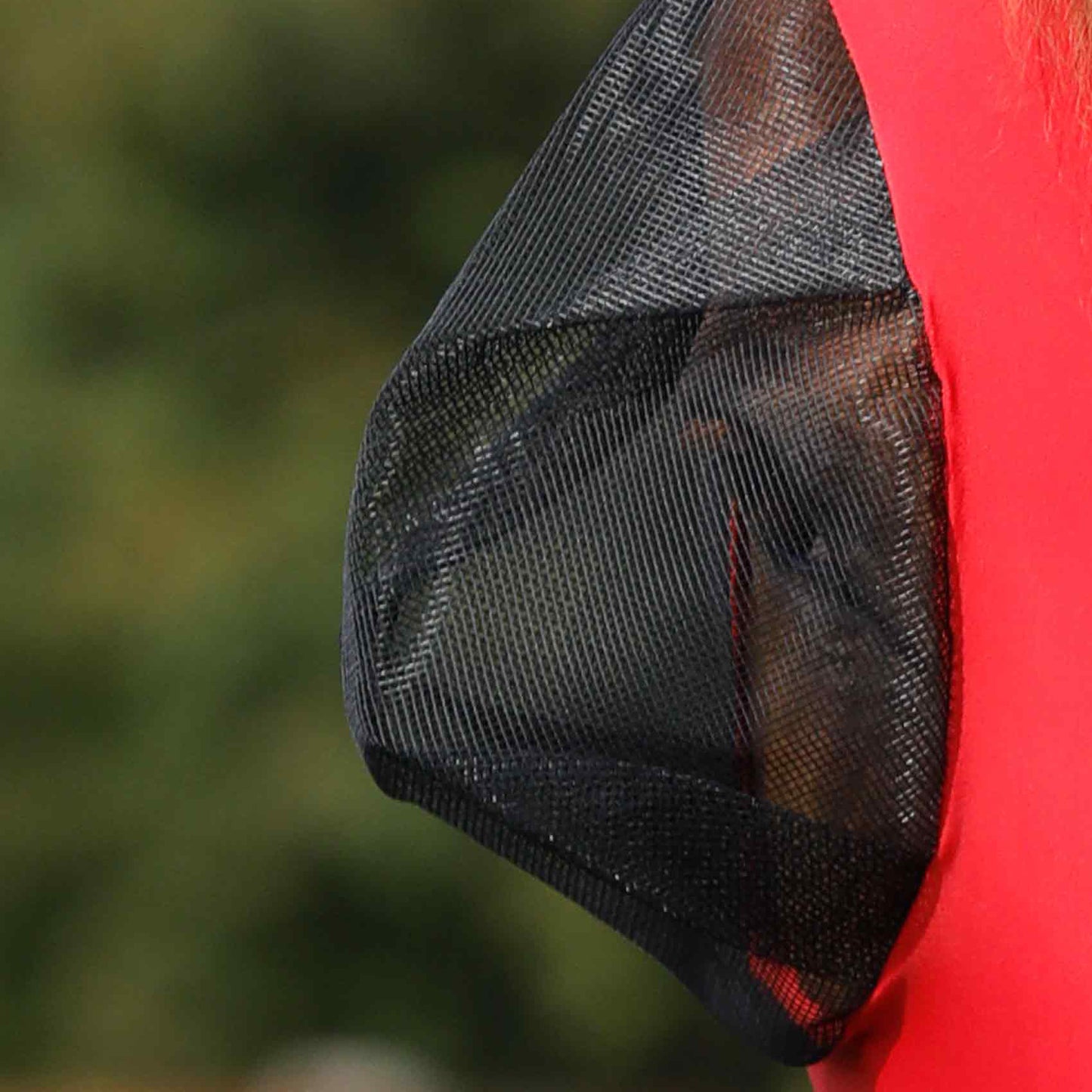 Masque Anti-Mouches Premier Equine Comfort Tech Xtra – Protection Lycra 360° & UV