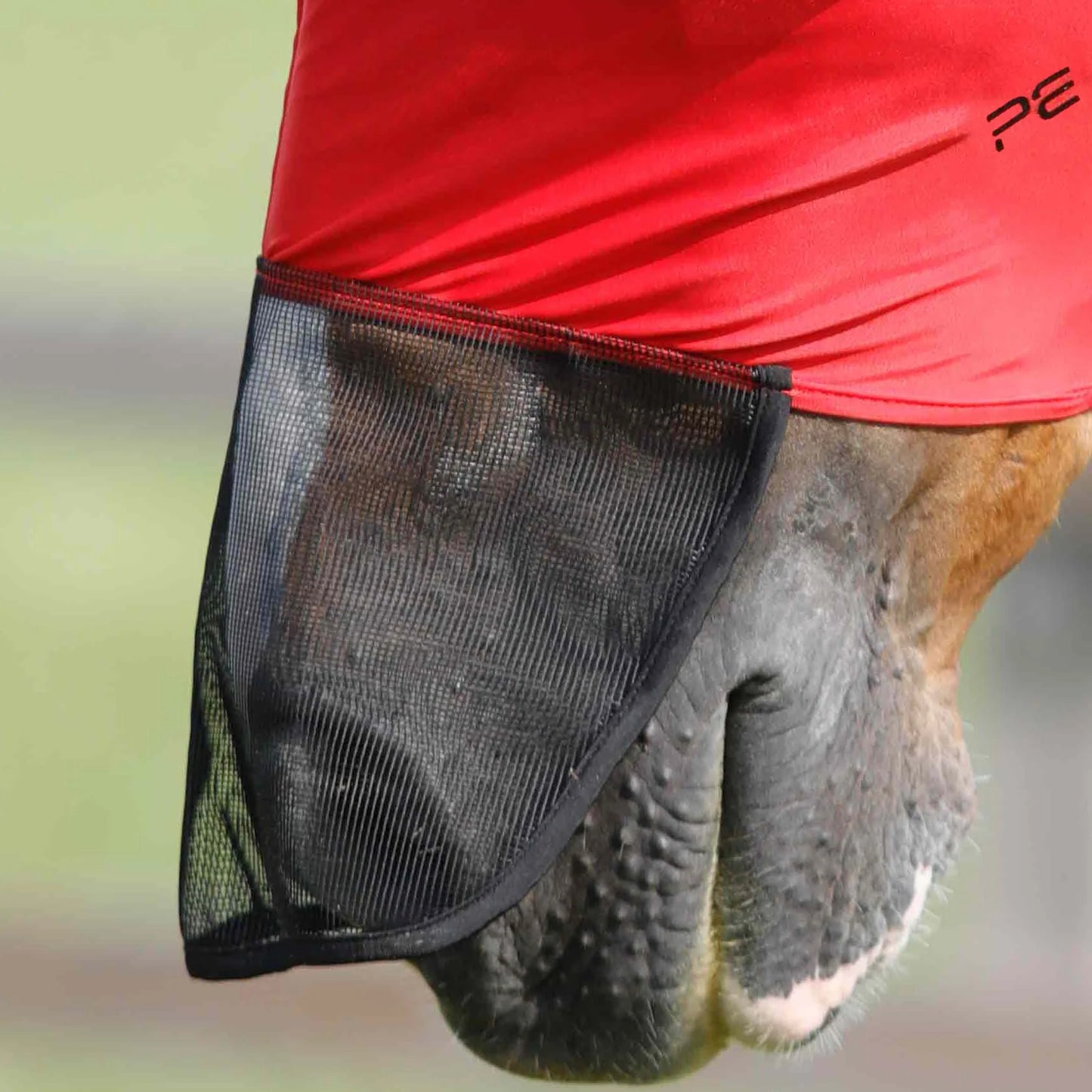 Masque Anti-Mouches Premier Equine Comfort Tech Xtra – Protection Lycra 360° & UV