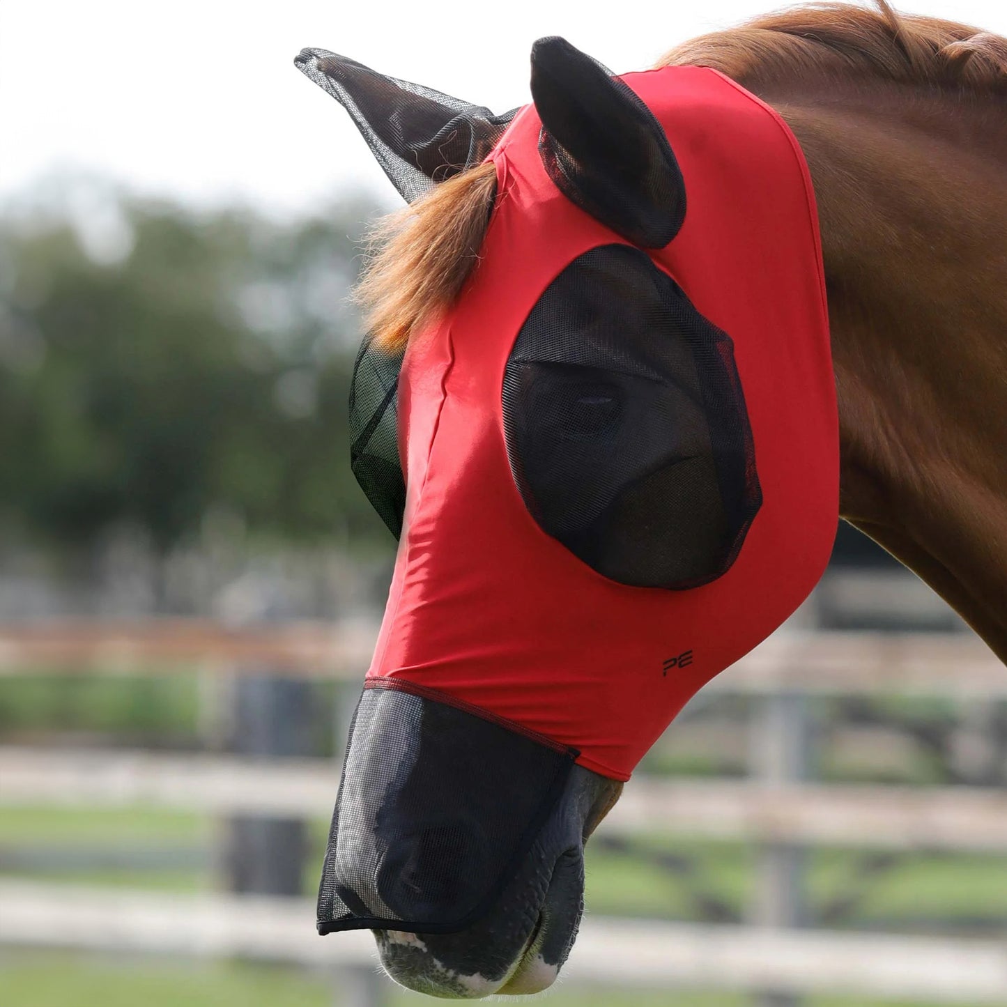 Masque Anti-Mouches Premier Equine Comfort Tech Xtra – Protection Lycra 360° & UV