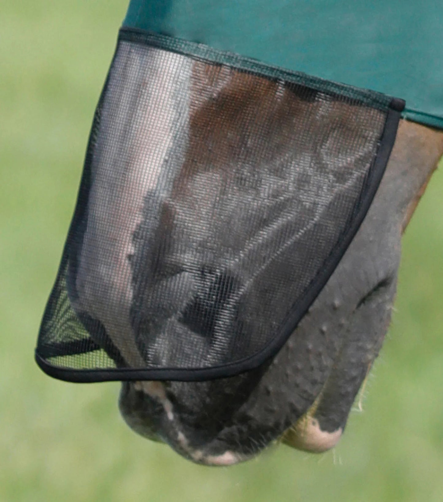 Masque Anti-Mouches Premier Equine Comfort Tech Xtra – Protection Lycra 360° & UV