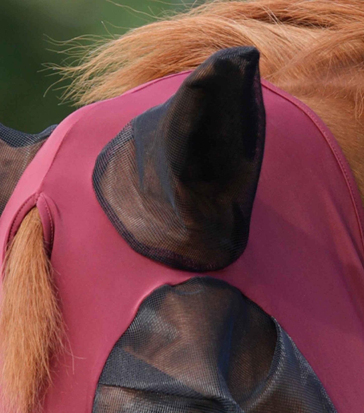 Masque Anti-Mouches Premier Equine Comfort Tech Xtra – Protection Lycra 360° & UV