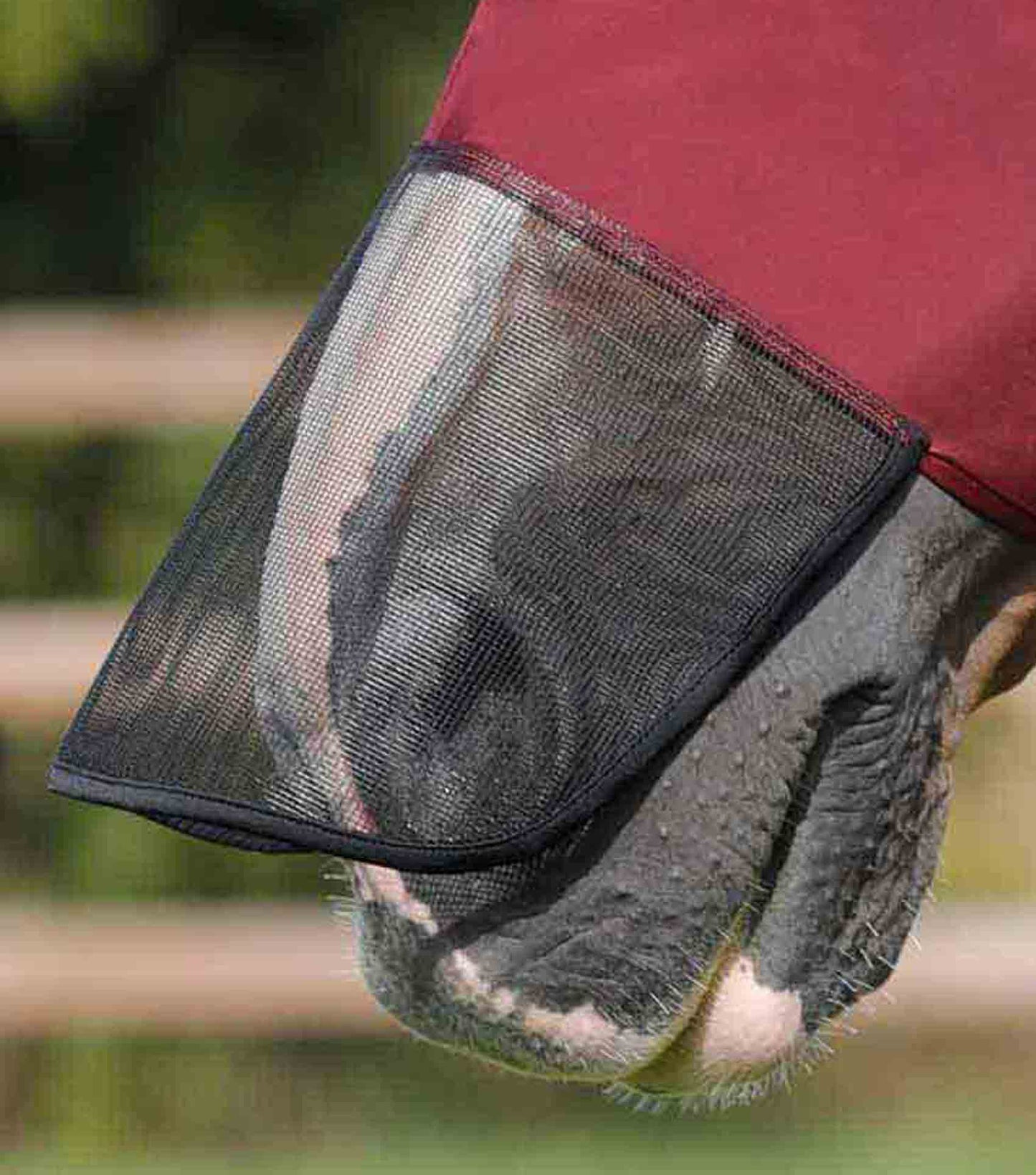 Masque Anti-Mouches Premier Equine Comfort Tech Xtra – Protection Lycra 360° & UV