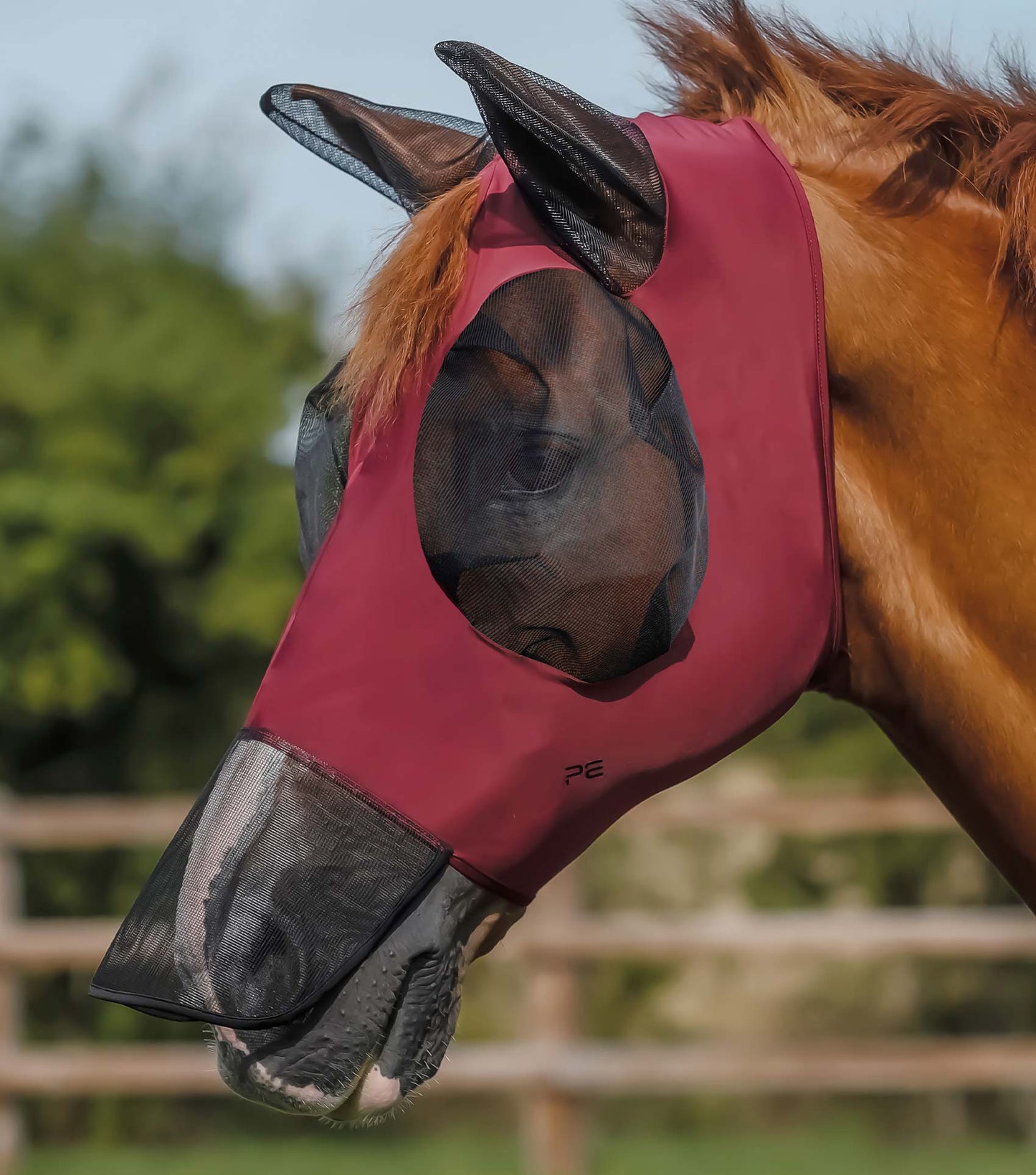 Masque Anti-Mouches Premier Equine Comfort Tech Xtra – Protection Lycra 360° & UV