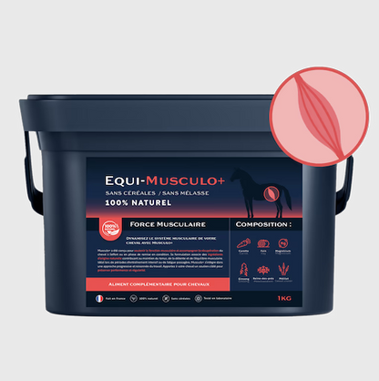 Equi-Musculo+ – Complément naturel pour force et récupération musculaire cheval - Equimojo