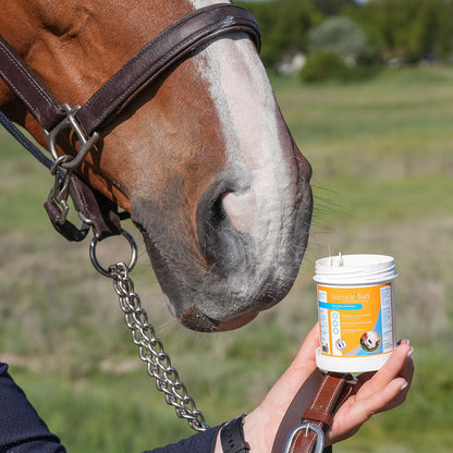 Natural’Sun – Crème solaire naturelle cheval – Natural Innov