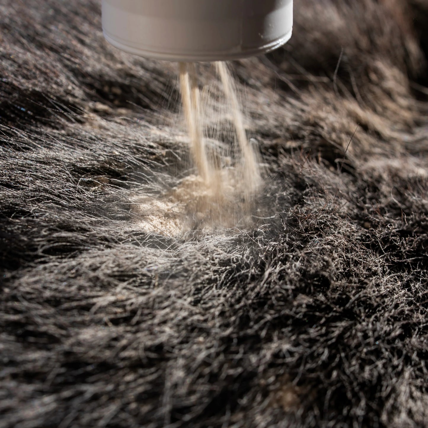 Poudre assainissante - Cura Naturale