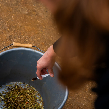 Aliment complémentaire soutien immunitaire - Cura Naturale