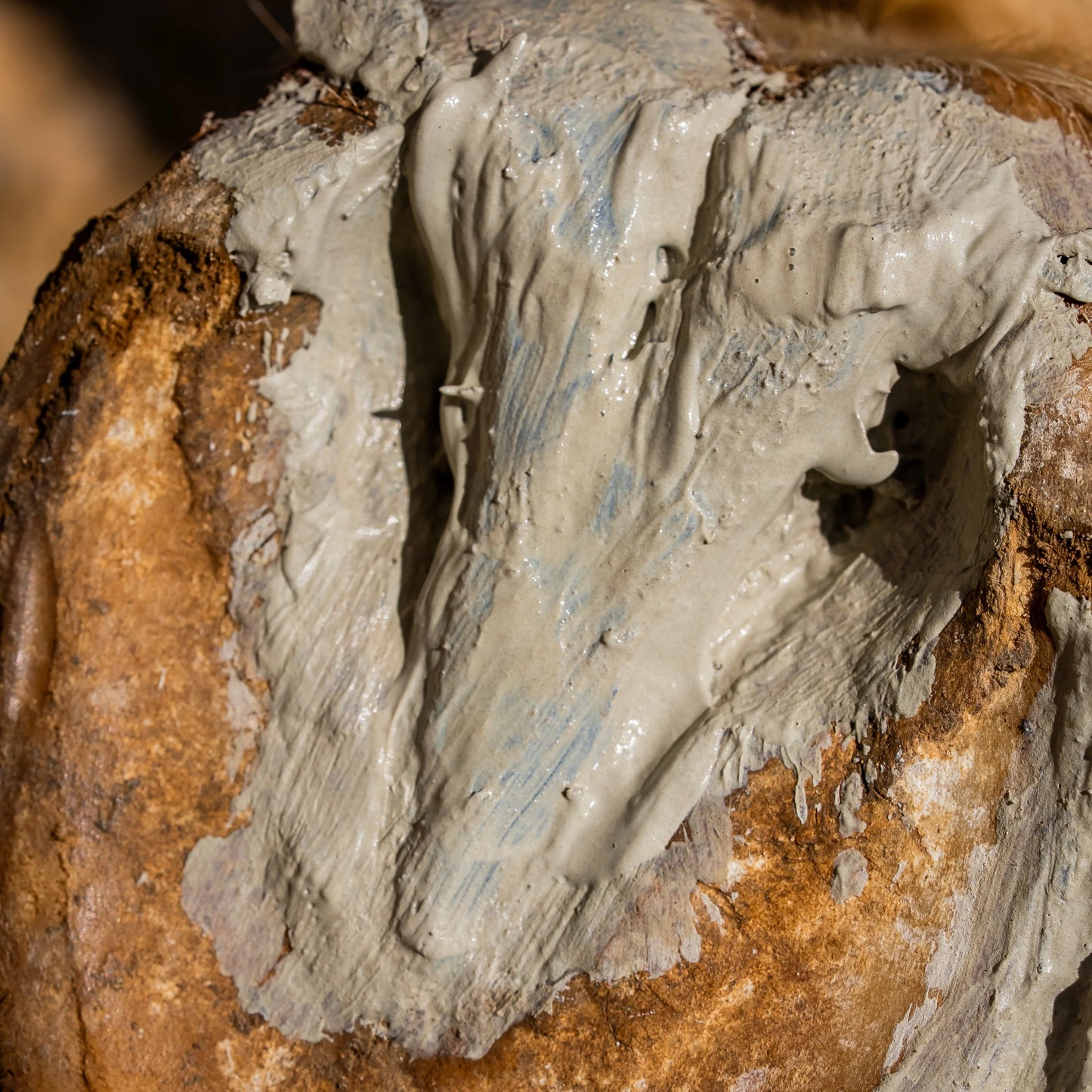 Argile assainissante sabots - Cura Naturale