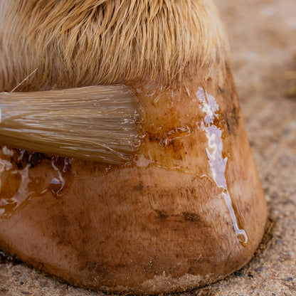 Huile sabots sensibles - Cura Naturale