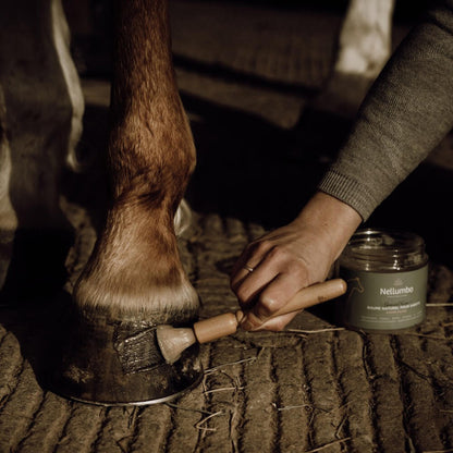 Pinceau gravé Nellumbo Cheval - Nellumbo