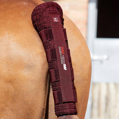 Protège-queue matelassé en nid d’abeille Premier Equine avec double fermeture Velcro
