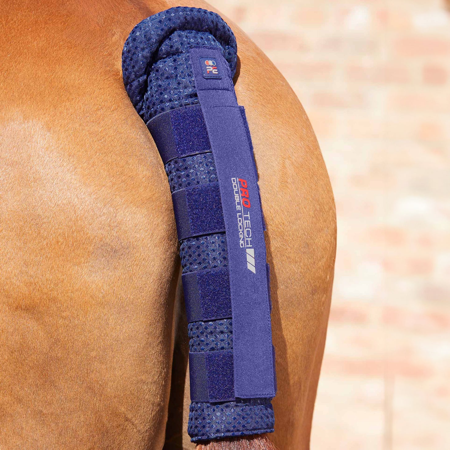 Protège-queue matelassé en nid d’abeille Premier Equine avec double fermeture Velcro