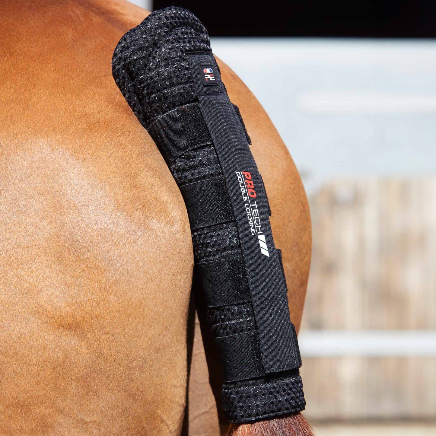 Protège-queue matelassé en nid d’abeille Premier Equine avec double fermeture Velcro