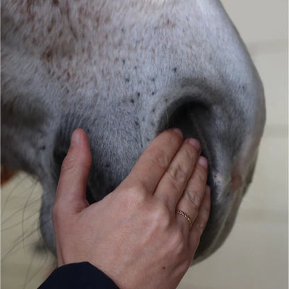 Sérum Sérénité Cheval - Nellumbo