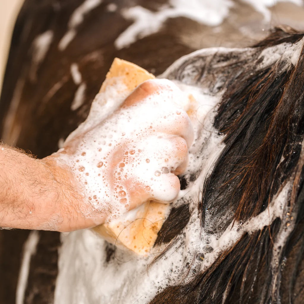 Shampoing répulsif - Cura naturale
