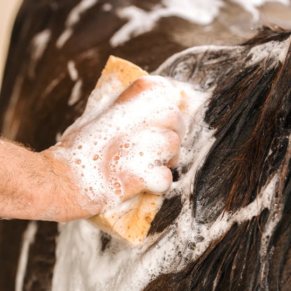 Shampoing répulsif - Cura naturale