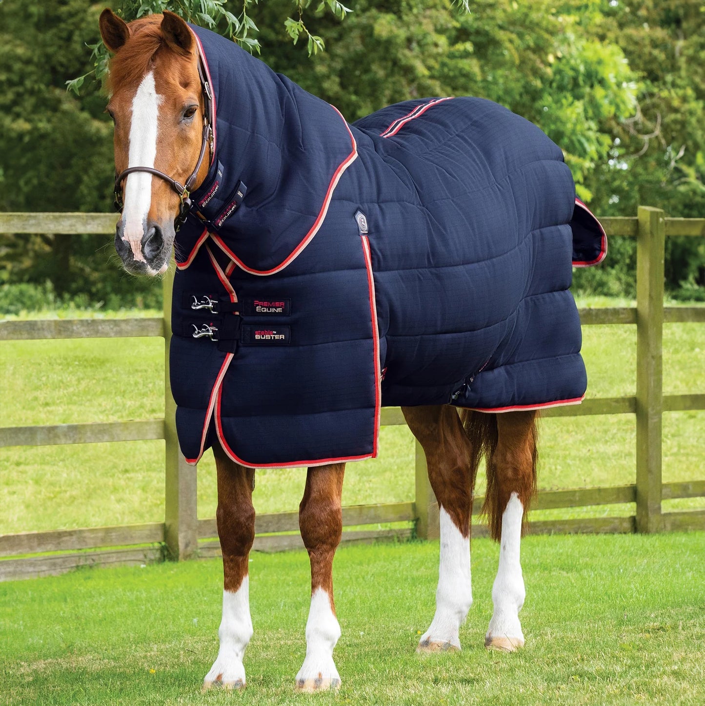 Couverture d’Écurie Buster 450g avec Couvre-Cou Amovible Polyester Ripstop 1000D | Premier Equine