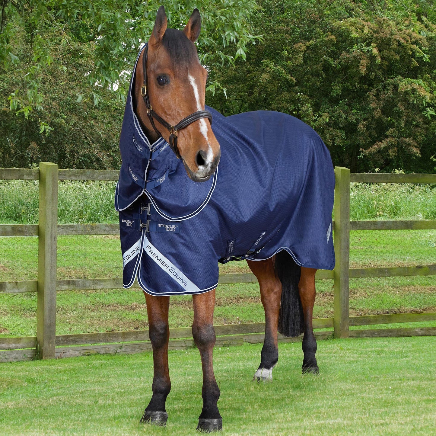 Couverture Cheval Imperméable 600D 100g Stratus Premier Equine avec Couvre-cou