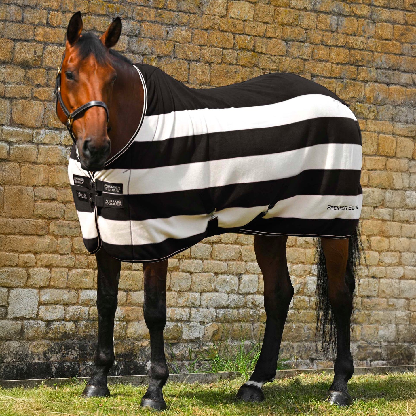 Couverture polaire Vellus pour cheval Premier Equine