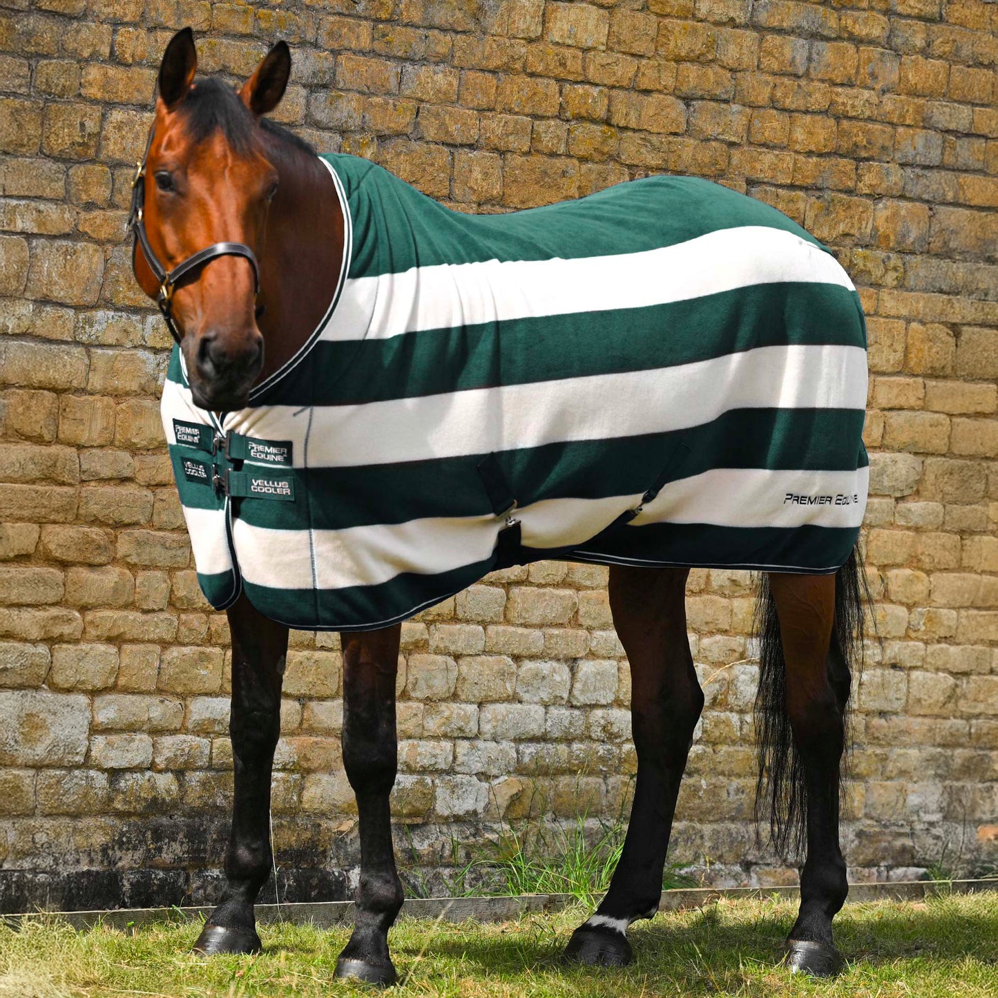 Couverture polaire Vellus pour cheval Premier Equine
