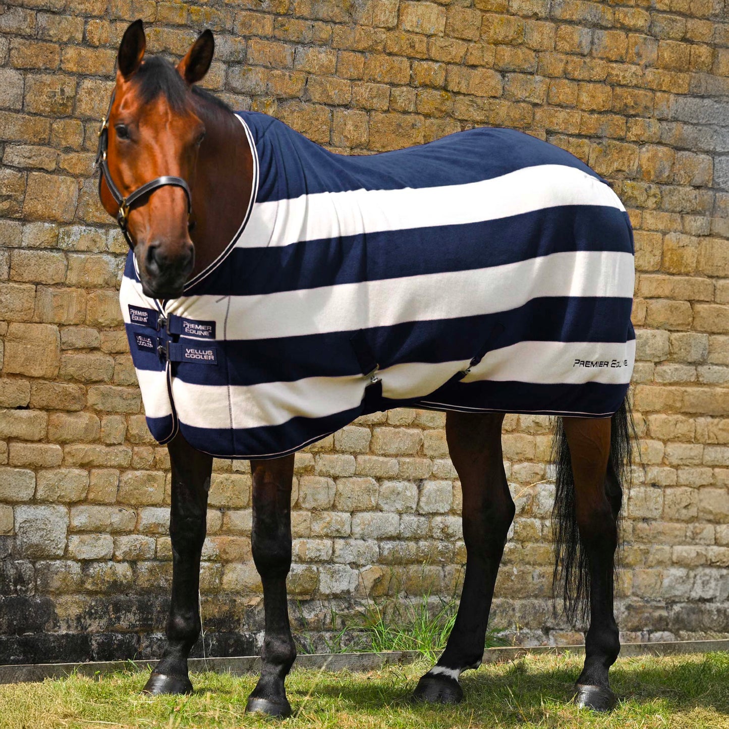 Couverture polaire Vellus pour cheval Premier Equine